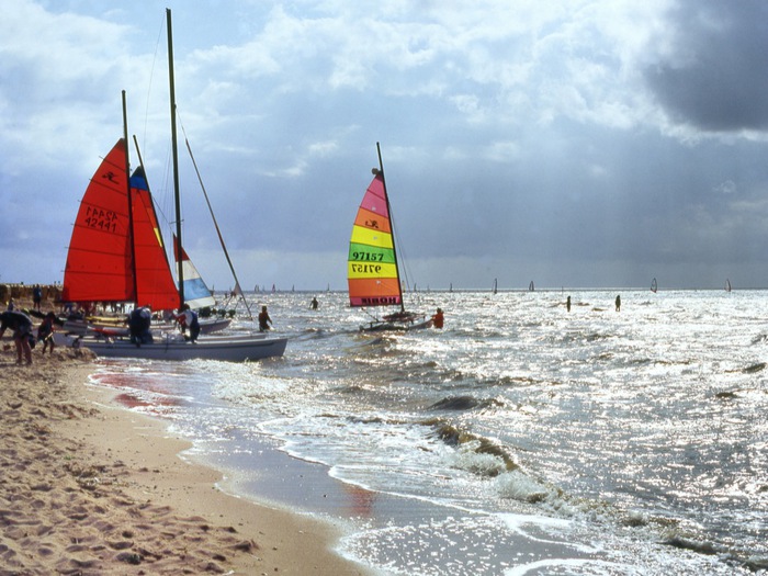 Galeriebild