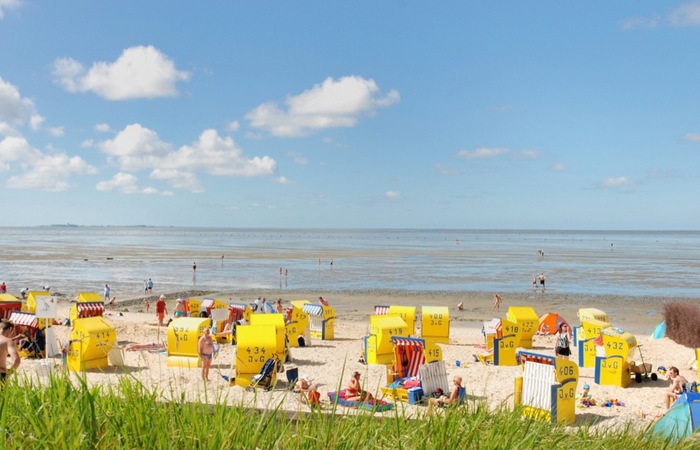 Galeriebild